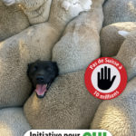 Pas de Suisse à 10 millions !